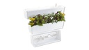 Blumenkasten VENEZIA anthrazit 60 cm, inkl. Wasserstandsanzeiger