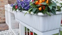 Blumenkasten VENEZIA anthrazit 60 cm, inkl. Wasserstandsanzeiger