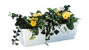 Blumenkasten VENEZIA anthrazit 80 cm, inkl. Wasserstandsanzeiger