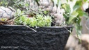 OASIS® BLACK BIOLIT® Pflanzschale ø 30 cm