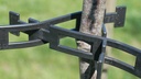 Baumband, 810 mm lang, inkl. Verbindungsteil, Btl à 50 Stück