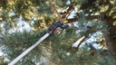 Teleskopschere FELCO 290-4M, Länge 236-400 cm