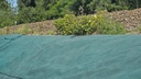 Unkrautvlies PLANTEX PLATINIUM, 100 m lang, 250 cm breit