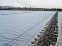 Abdeck­vlies COVERTAN PRO 17 g/m2, 250 m lang, 1050 cm breit