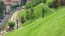 137.490_Erosionsschutz-Begrünungsmatte vorbesät 500 g/m2, 205 cm breit, Rolle à 45 m