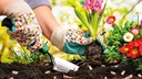 Vliesstreifen LITE-STRIP BIO5, Sack à 250 Liter