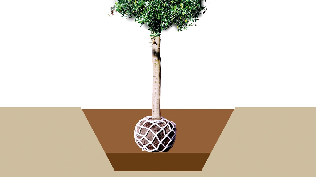 202.741.2_Vlies-Anwachsnetz LITE-NET BIO5 L, 150x80 cm