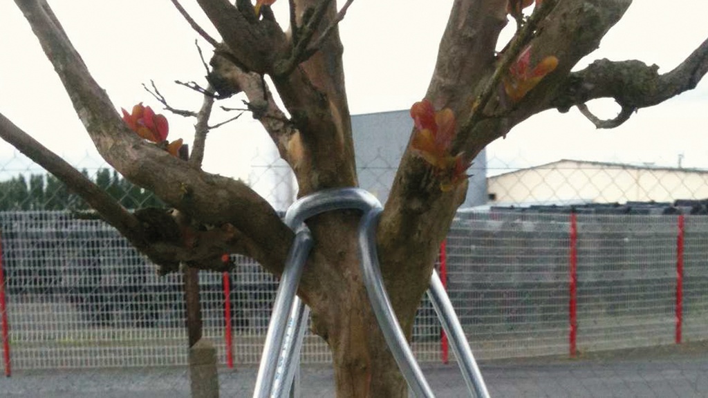 Baumverankerung, Baumhöhe 2-4.5 m