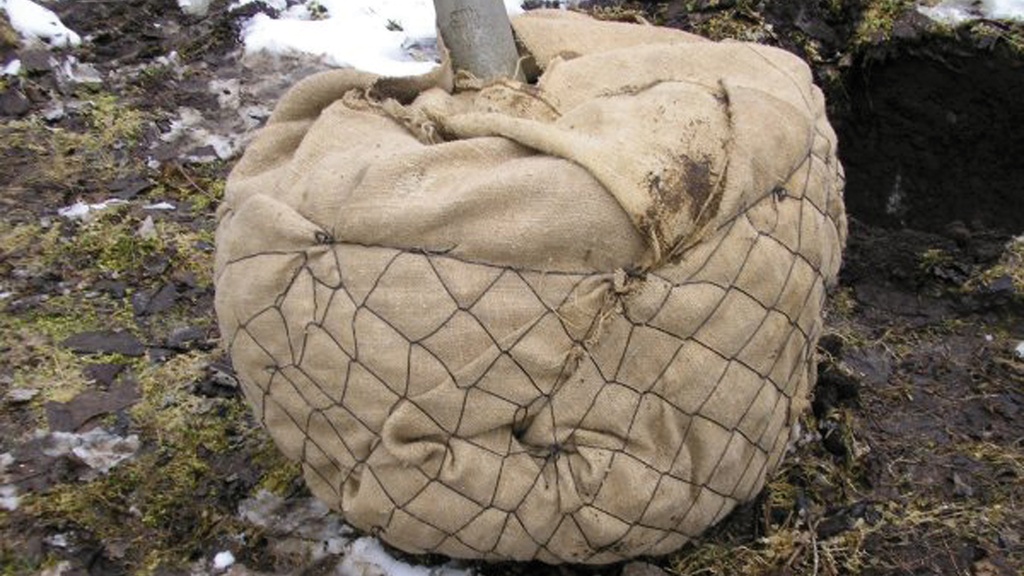 Ballierungsnetz aus Draht, Ø 45 cm (No. 1), Pack à 50 Stk.