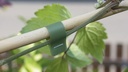 Bindeband SUPER MAX rot, 0.10 mm dick 40 m lang, 10 Rollen