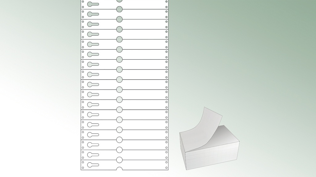 Étiquettes à boucle TYVEK® blanche, 220 x 25.50 mm, paquet de 1'000 étiquettes