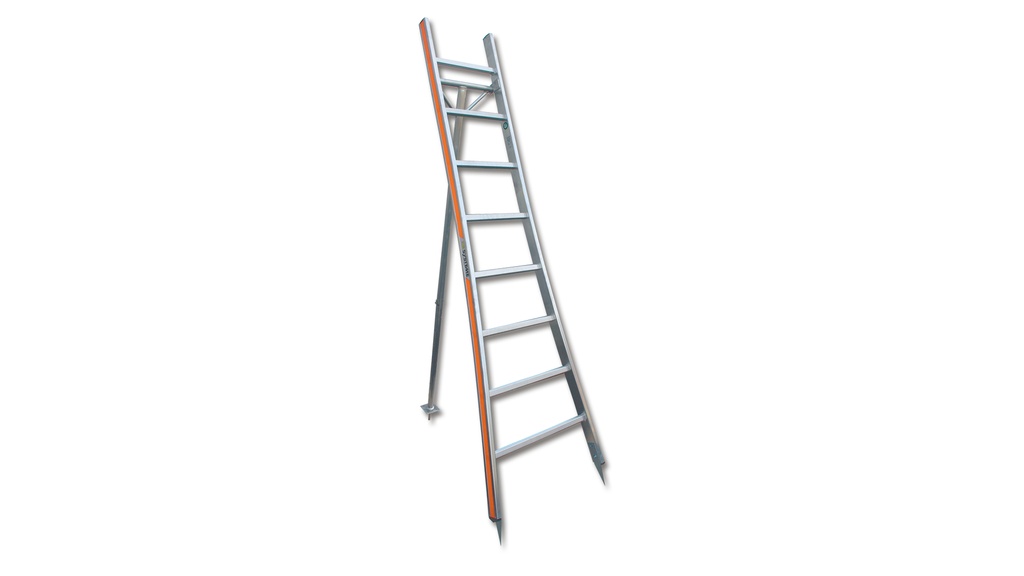 Buschbaumleiter aus Aluminium, 10 Sprossen, 3.09 m lang