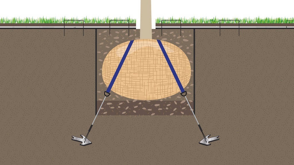 Ancrage de motte avec ancres, hauteur de l'arbre de 4.5-7 m