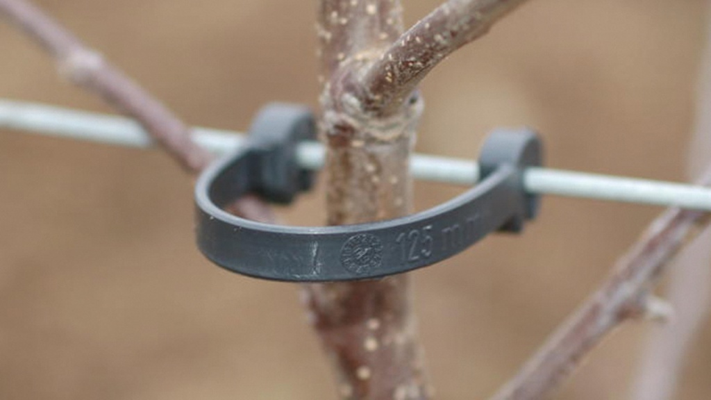 Bride pour tronc d’arbre, 100 mm, pour fil Ø 2.0-2.2 mm