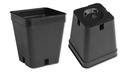 Kakteen-Container schwarz 5 x 5 x 6 cm, 2700 Stück