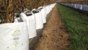 Baumschulcontainer White Bag 1000 lt