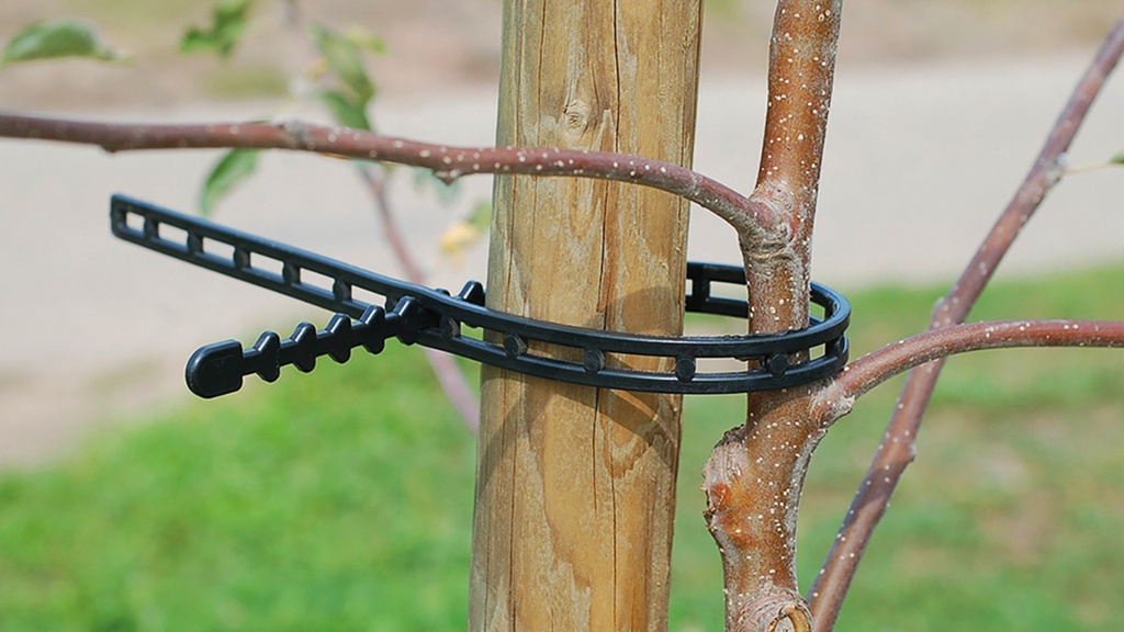 Stammband, 420 mm lang, Beutel à 100 Stück