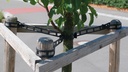Attache pour arbres, 630 mm, inc. raccord, sachet de 50 pces