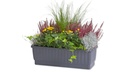 Blumenkasten VENEZIA anthrazit 60 cm, inkl. Wasserstandsanzeiger