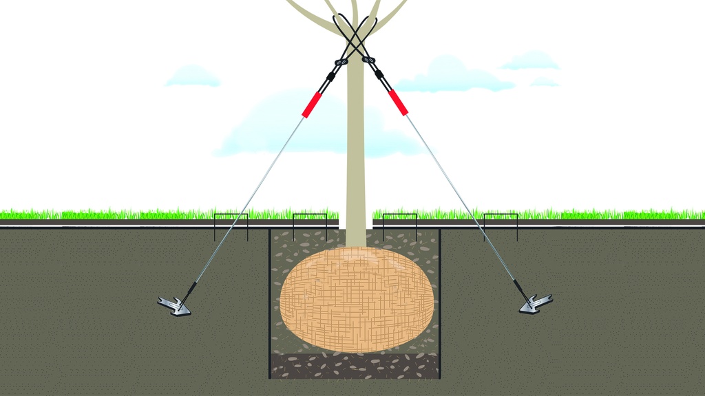 Baumverankerung, Baumhöhe 4-7 m