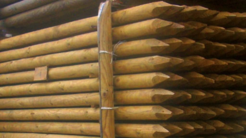 Baumpfahl Ø 55 mm, 200 cm lang