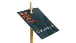 [420.127.B] Etikettenstab «Bambus» 27 cm