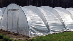 [134.170] Feuille en plastique transparent, longueur 30 m, largeur 1200 cm, épaisseur 0.18 mm