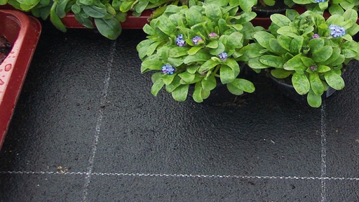 Bewässerungsmatte VIVAPLUS, 300 g/m², 2-lagig, 50 m lang, 125 cm breit