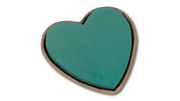 [231.800] OASIS® BIOLIT® coeur 17 x 17 x 4 cm 4 pièces