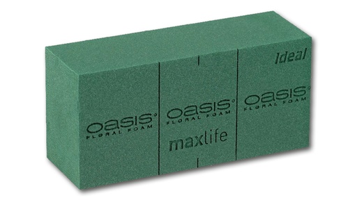 OASIS® IDEAL brique de mousse, 35 briques