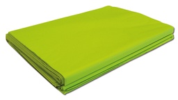 [250.060] Blumenpapier 30 g/m2, klarapfel, 75 x 100 cm, Pack à 10 kg