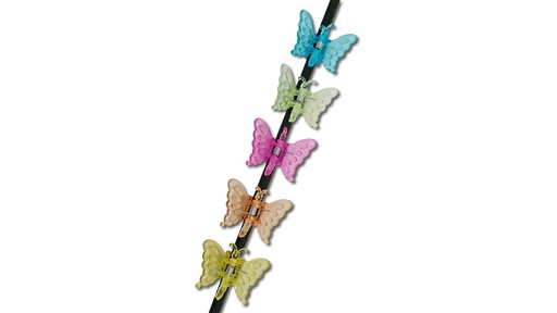 Orchideen Clip Schmetterling Farbe orange