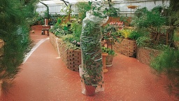 [453.060] Feuille en plastique, largeur 60 cm, rouleau de 290 m